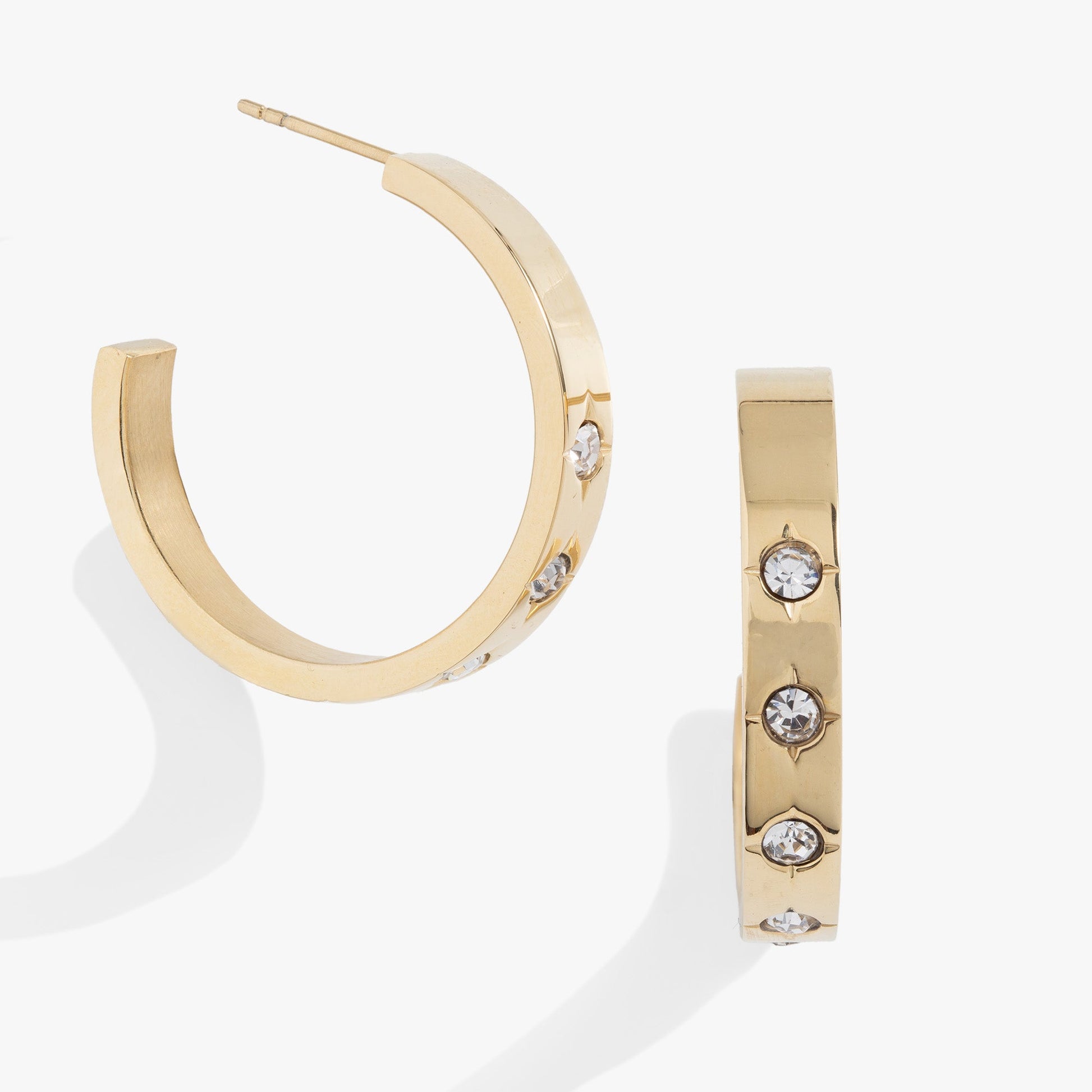 Crystal Accent Hoop ALEX AND ANI