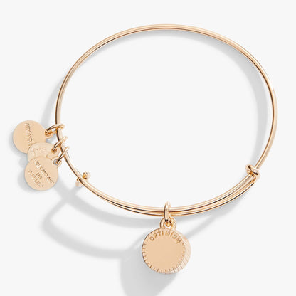 December Birthstone Charm Bangle, Blue Zircon ALEX AND ANI