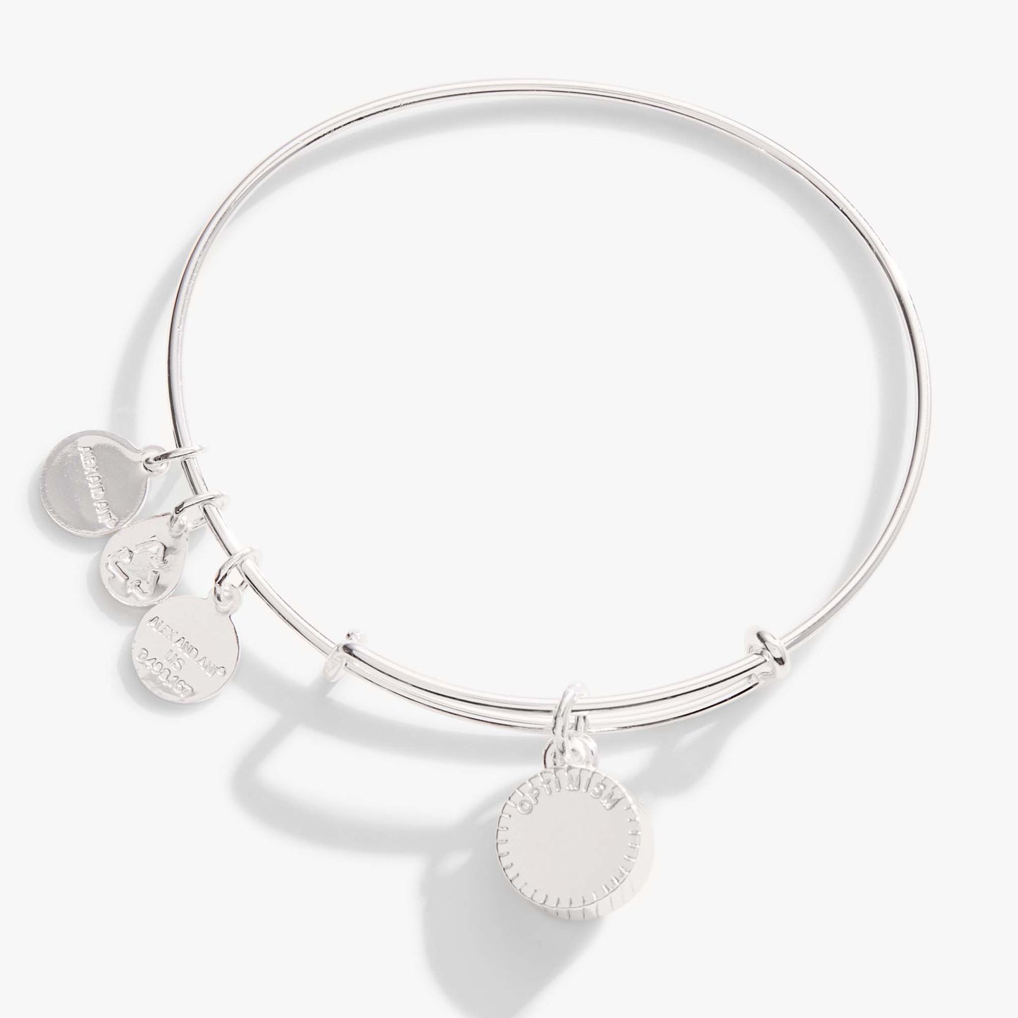December Birthstone Charm Bangle, Blue Zircon ALEX AND ANI