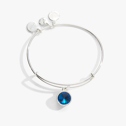 December Birthstone Charm Bangle, Blue Zircon ALEX AND ANI