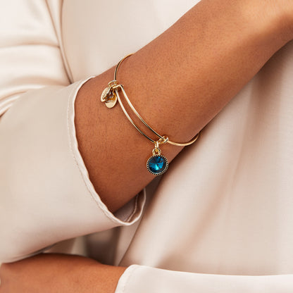 December Birthstone Charm Bangle, Blue Zircon ALEX AND ANI