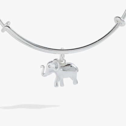 Elephant Charm Bangle ALEX AND ANI