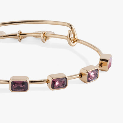 February Birthstone Emerald Cut Bangle ALEX AND ANI