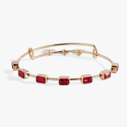 January Birthstone Emerald Cut Bangle ALEX AND ANI