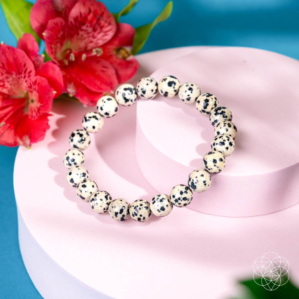 Emotional Detox - Dalmatian Jasper Bracelet Conscious Items