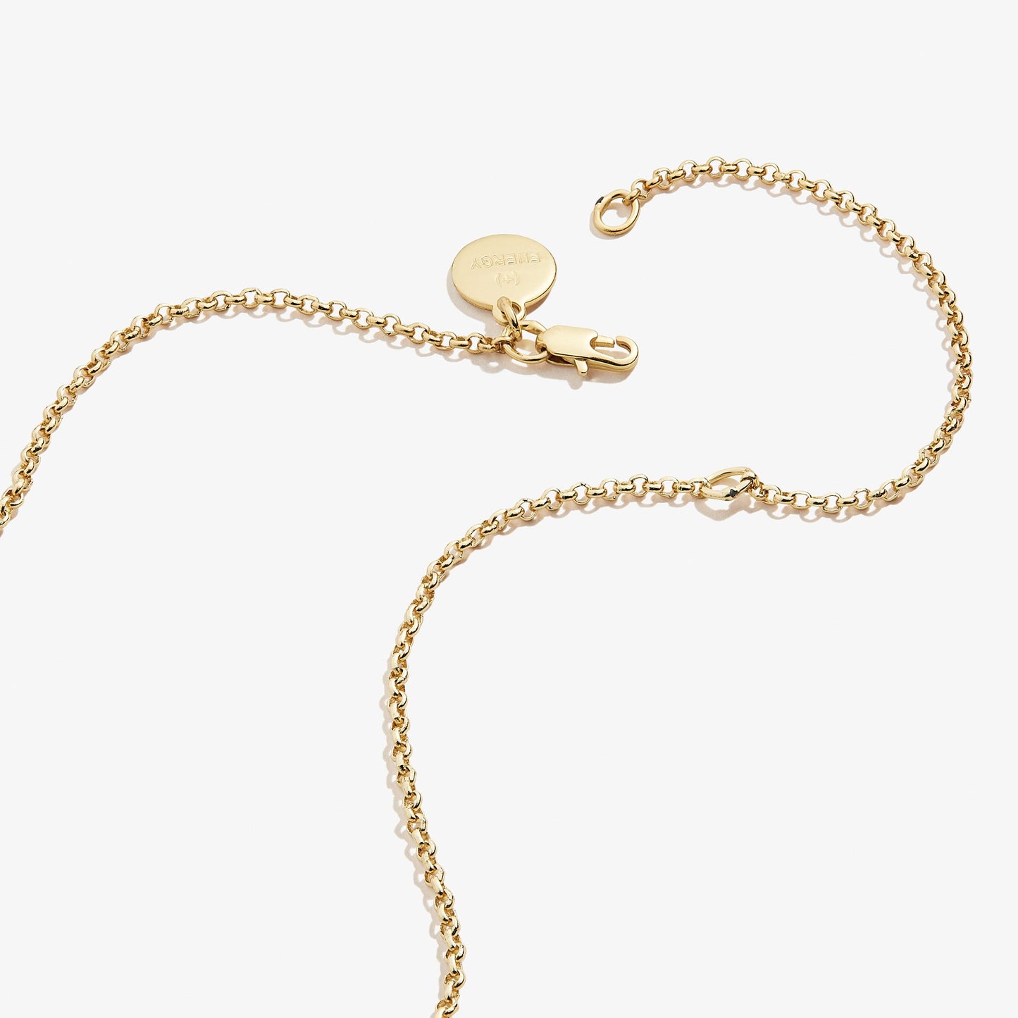 Small Circle Charm Necklace, 19'' ALEX AND ANI