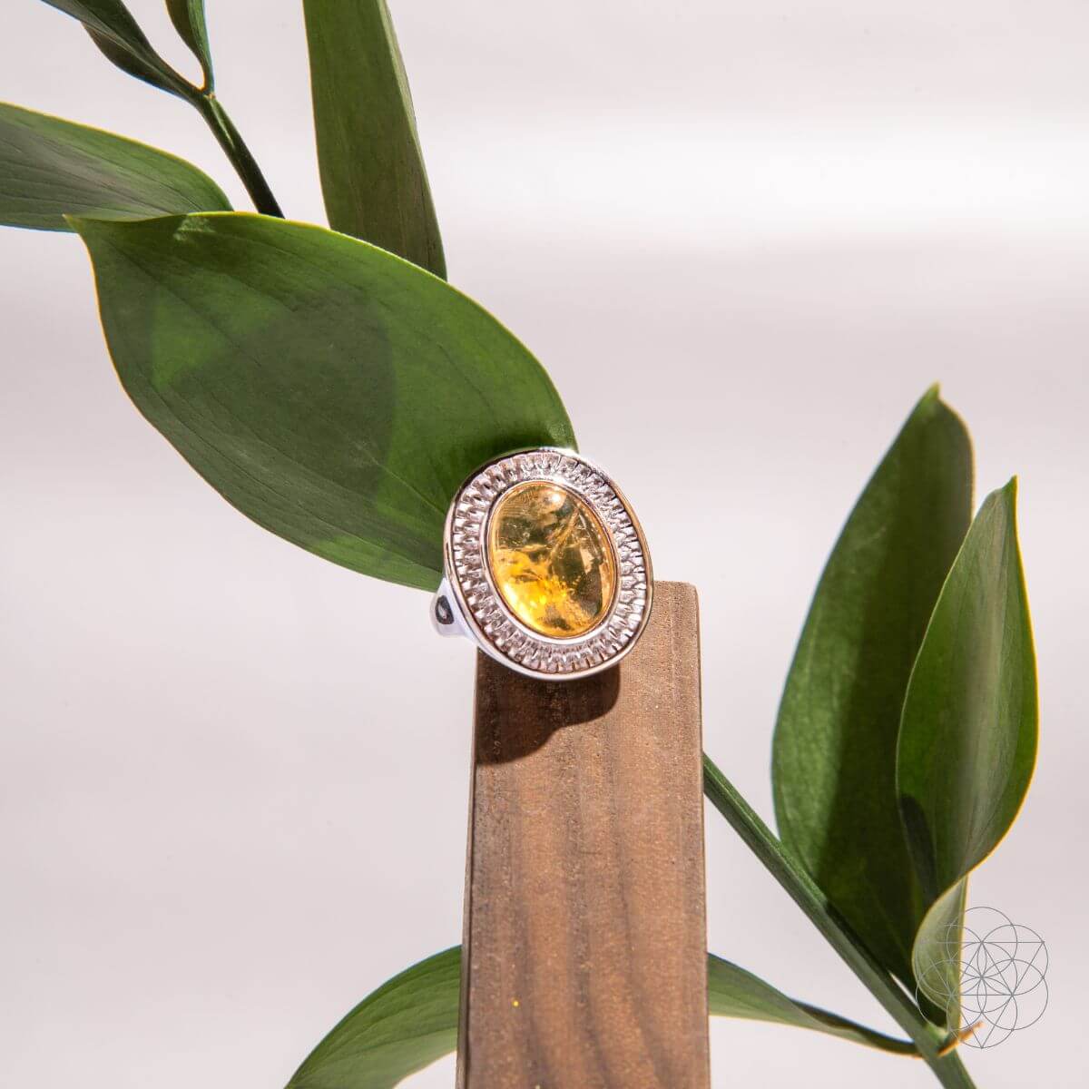 Eye of The Sun - Silver Aura Ring of Attraction Conscious Items