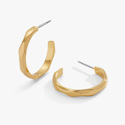 Faceted Hoop Earrings ALEX AND ANI