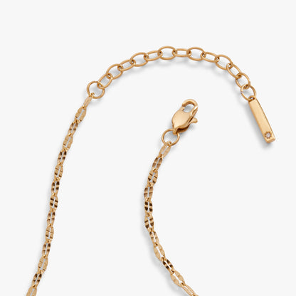 Multi Faceted Chain Anklet ALEX AND ANI