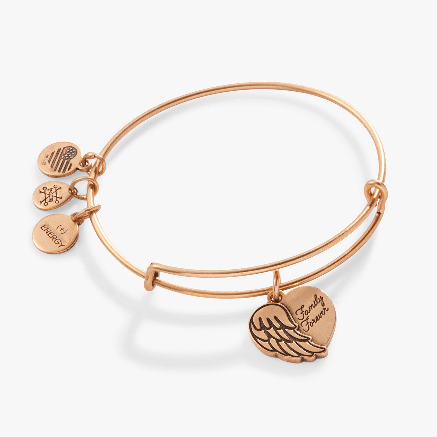 'Family Forever' Angel Wing Heart Charm Bangle ALEX AND ANI