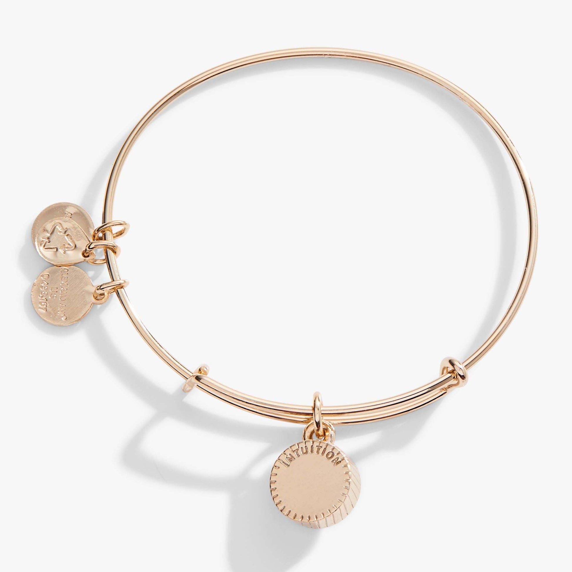 February Birthstone Charm Bangle, Amethyst ALEX AND ANI