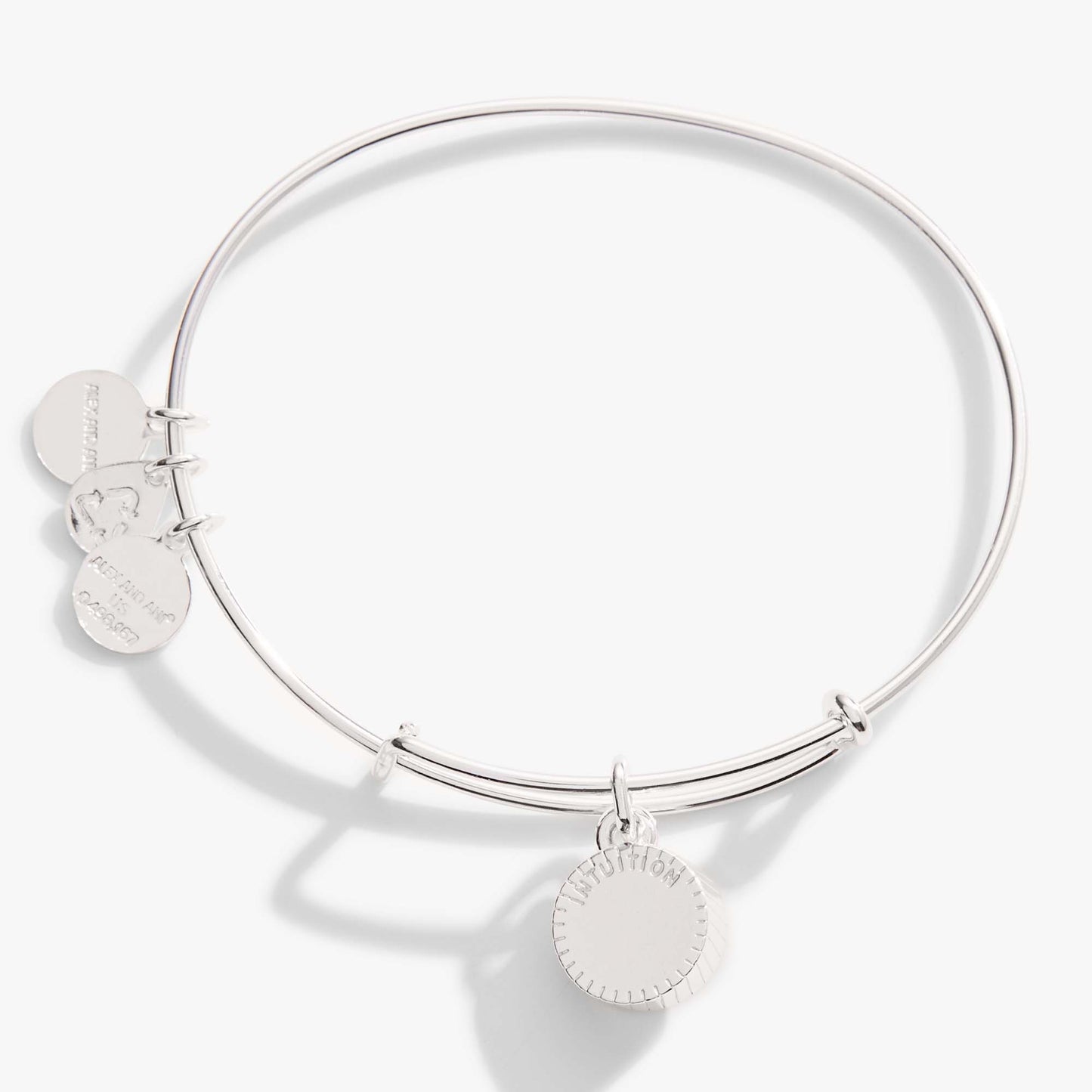 February Birthstone Charm Bangle, Amethyst ALEX AND ANI