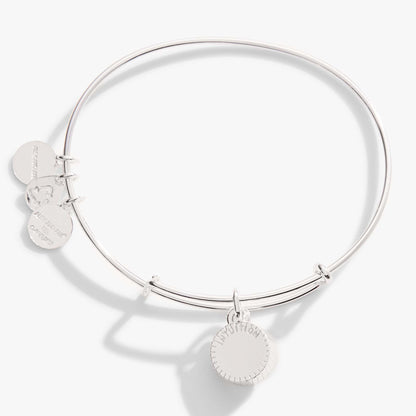 February Birthstone Charm Bangle, Amethyst ALEX AND ANI