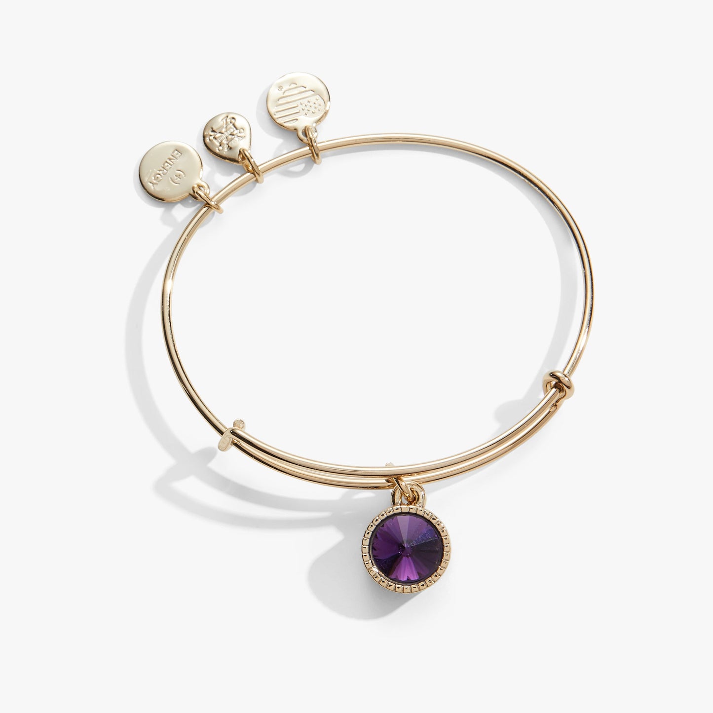 February Birthstone Charm Bangle, Amethyst ALEX AND ANI