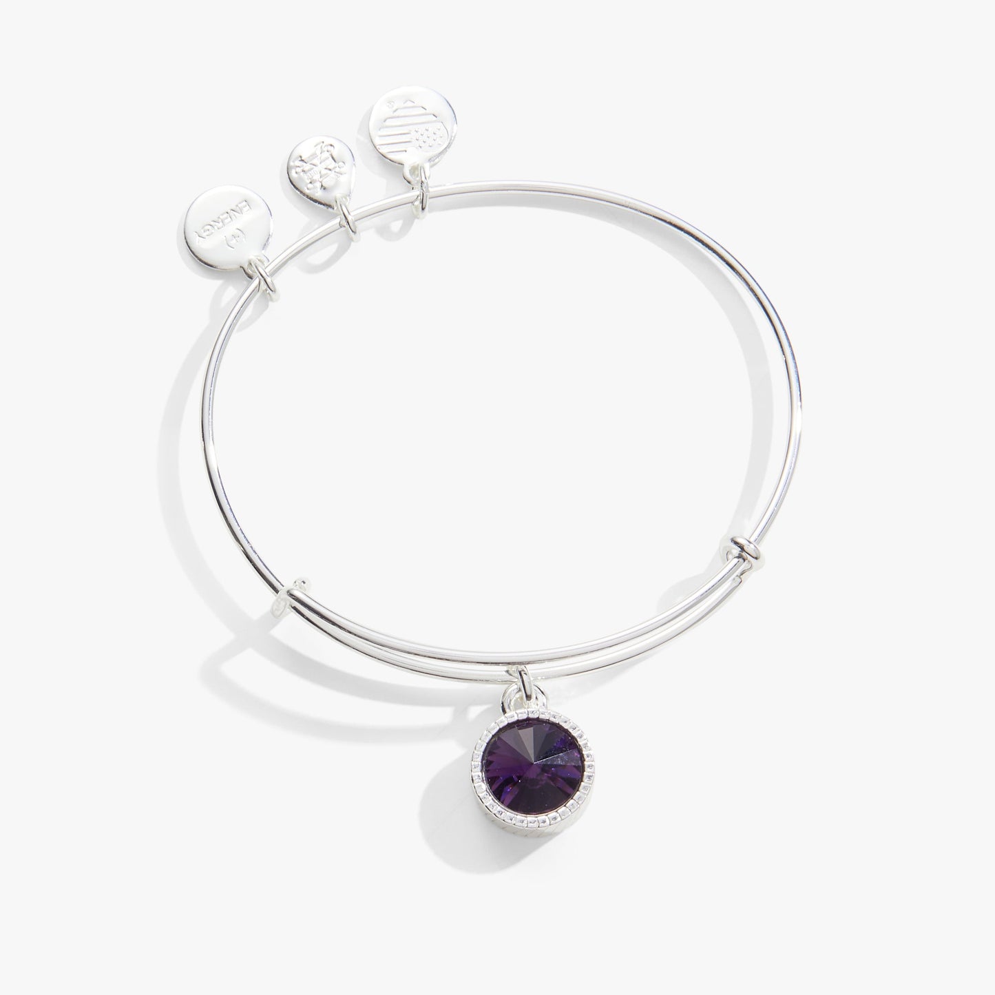 February Birthstone Charm Bangle, Amethyst ALEX AND ANI