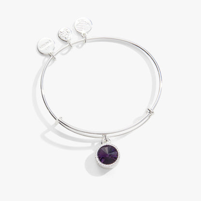 February Birthstone Charm Bangle, Amethyst ALEX AND ANI