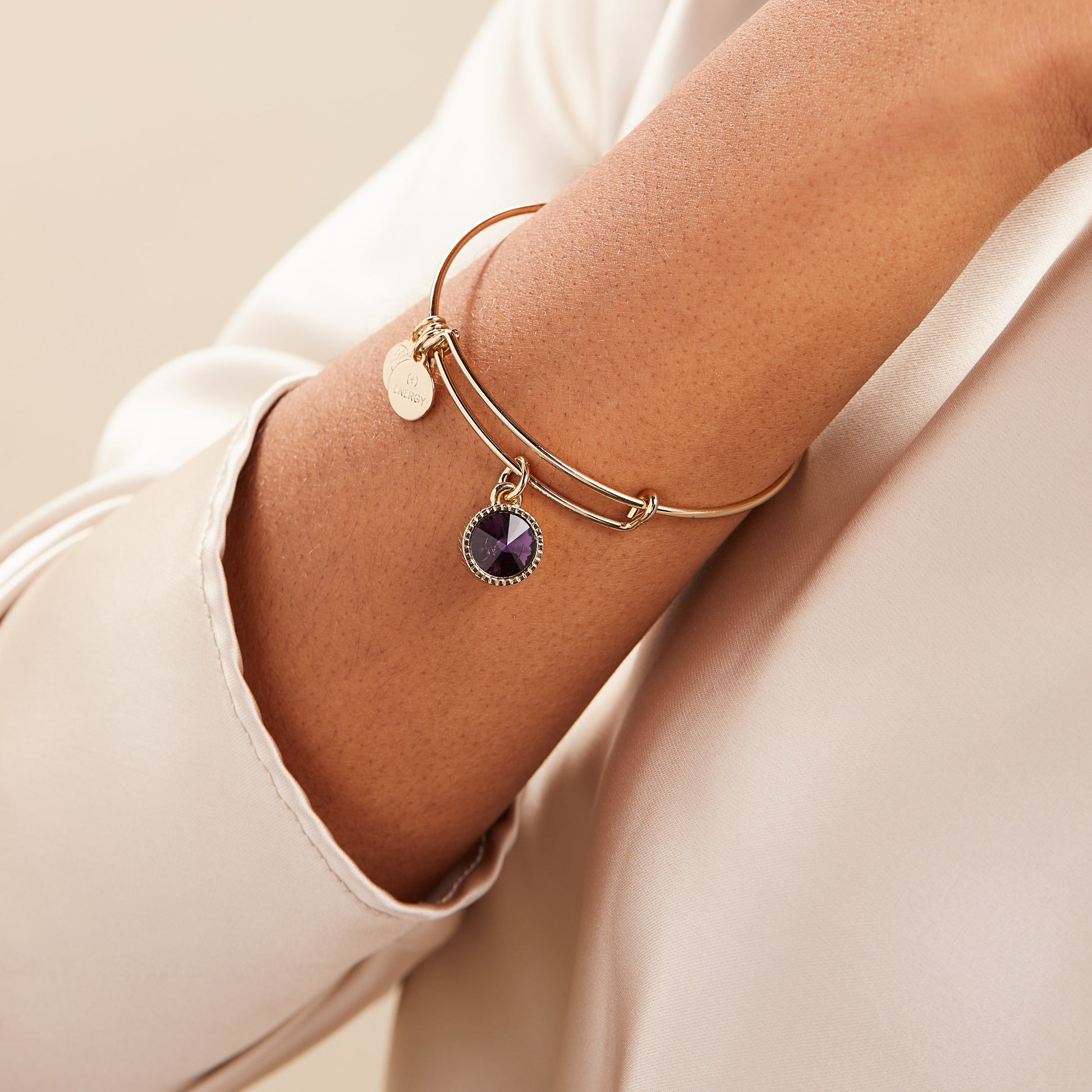 February Birthstone Charm Bangle, Amethyst ALEX AND ANI