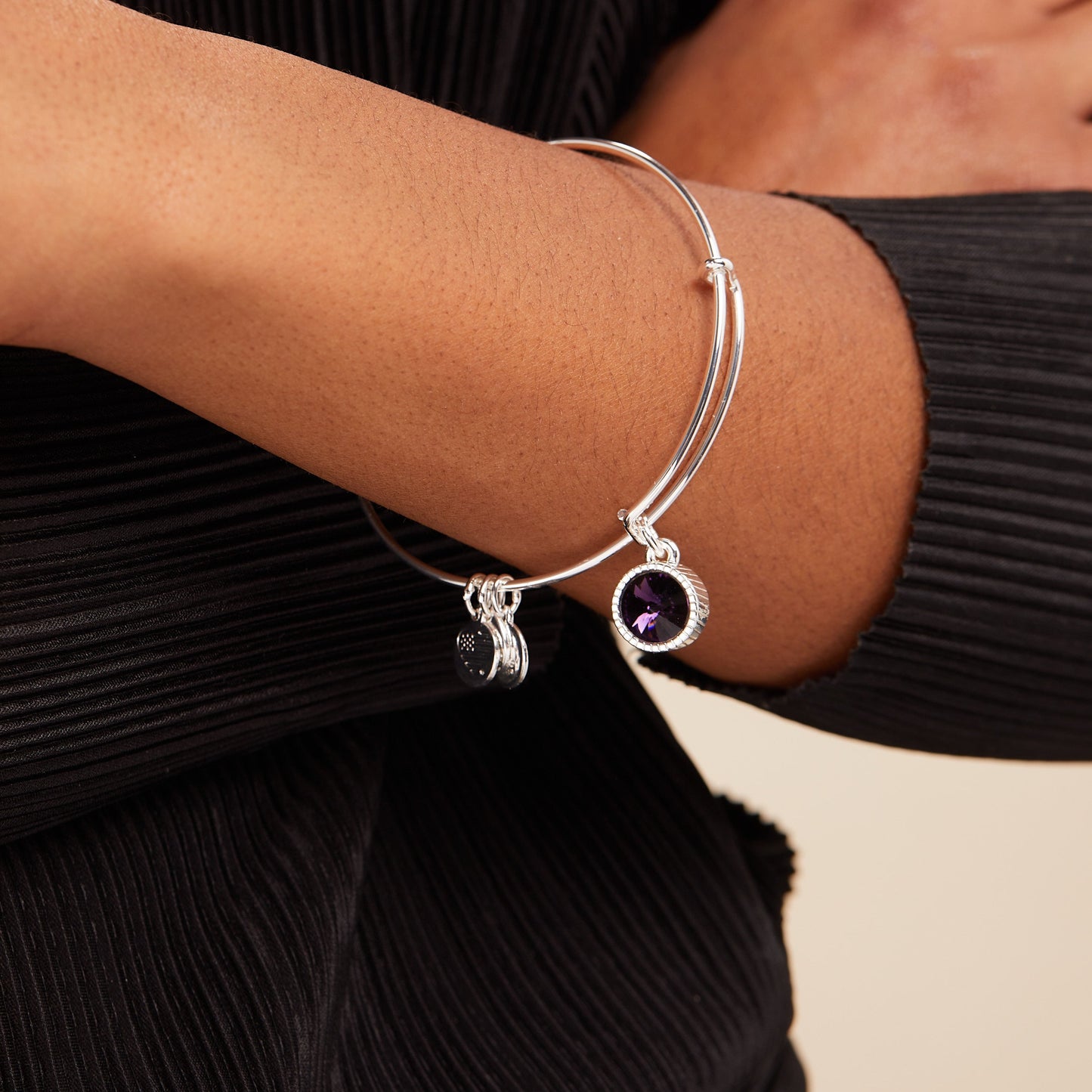 February Birthstone Charm Bangle, Amethyst ALEX AND ANI