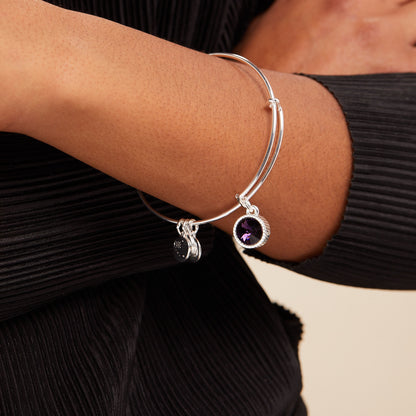 February Birthstone Charm Bangle, Amethyst ALEX AND ANI