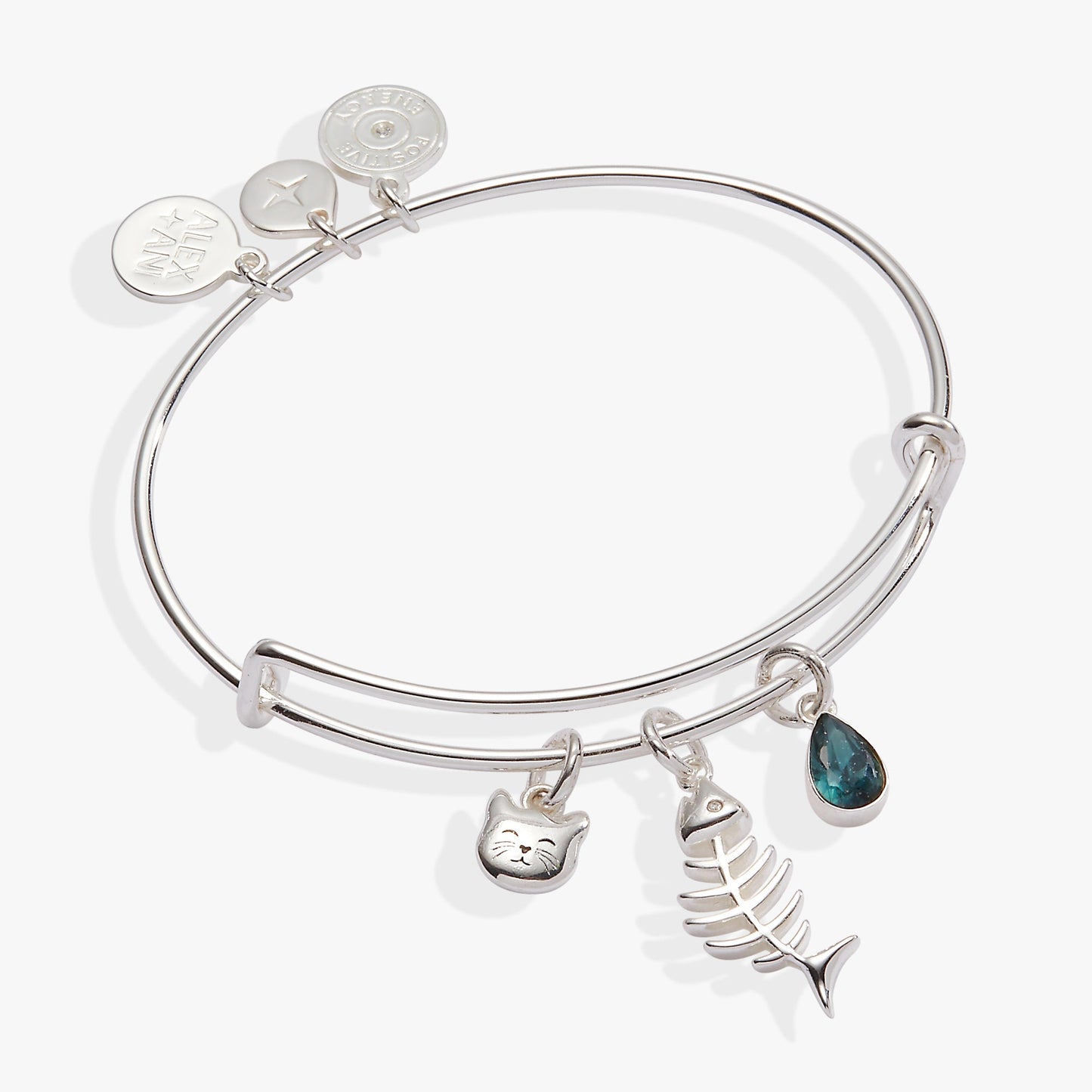Fish Bone Cat Bangle ALEX AND ANI