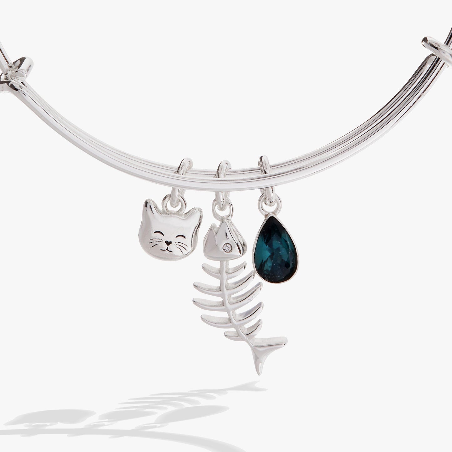 Fish Bone Cat Bangle ALEX AND ANI
