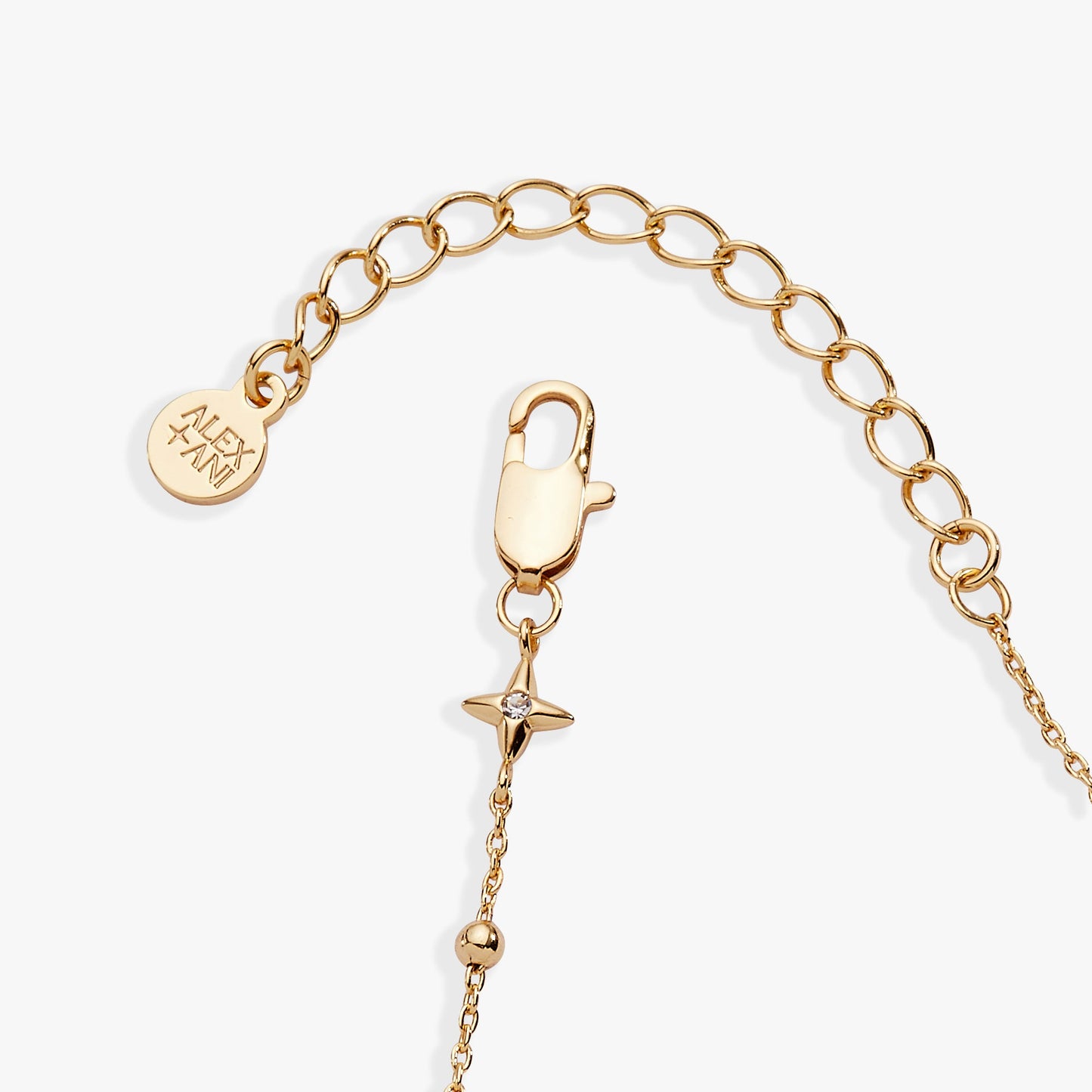 Floret Chain Bracelet ALEX AND ANI