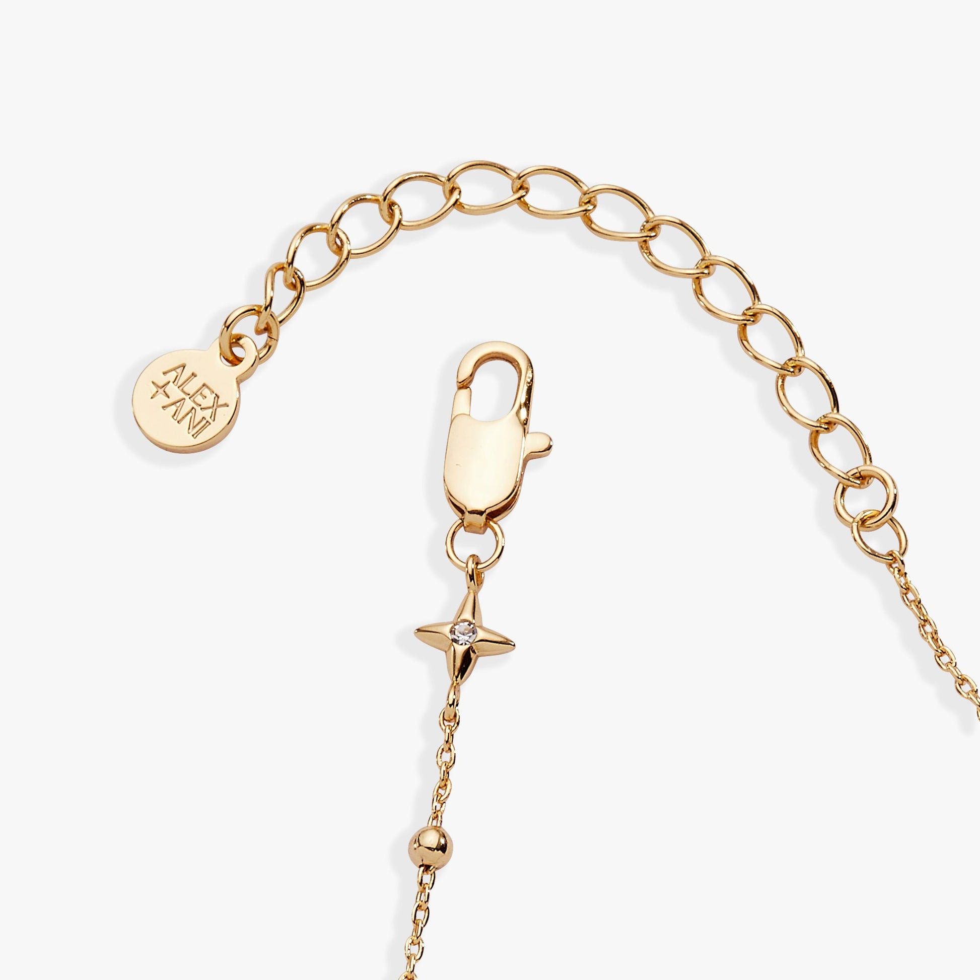 Floret Chain Bracelet ALEX AND ANI