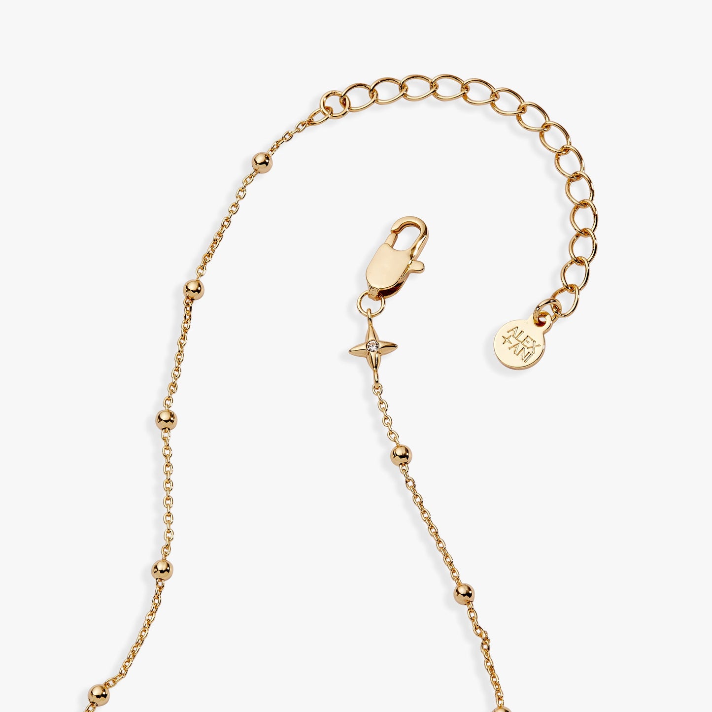 Floret Chain Necklace ALEX AND ANI