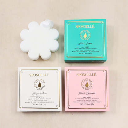 Fresh Boxed Flower Set Spongellé