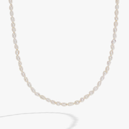 Freshwater Pearl Necklace ALEX AND ANI