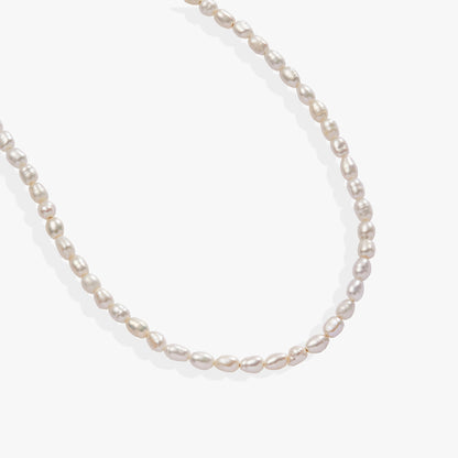 Freshwater Pearl Necklace ALEX AND ANI
