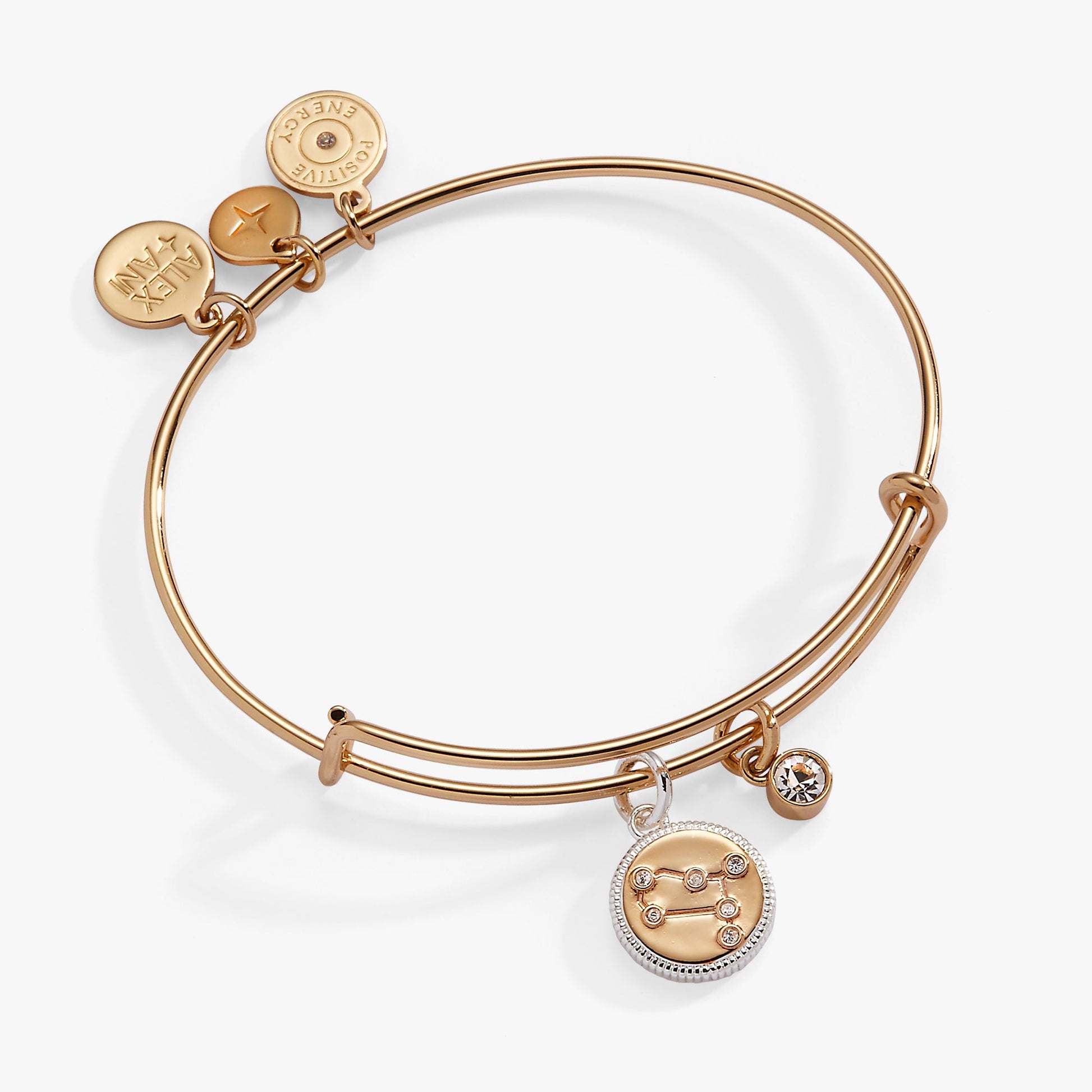 Gemini Zodiac Charm Bangle ALEX AND ANI