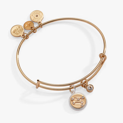 Gemini Zodiac Charm Bangle ALEX AND ANI