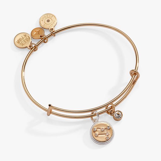 Gemini Zodiac Charm Bangle ALEX AND ANI