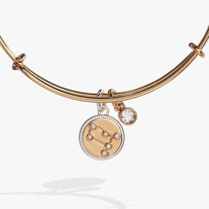 Gemini Zodiac Charm Bangle ALEX AND ANI