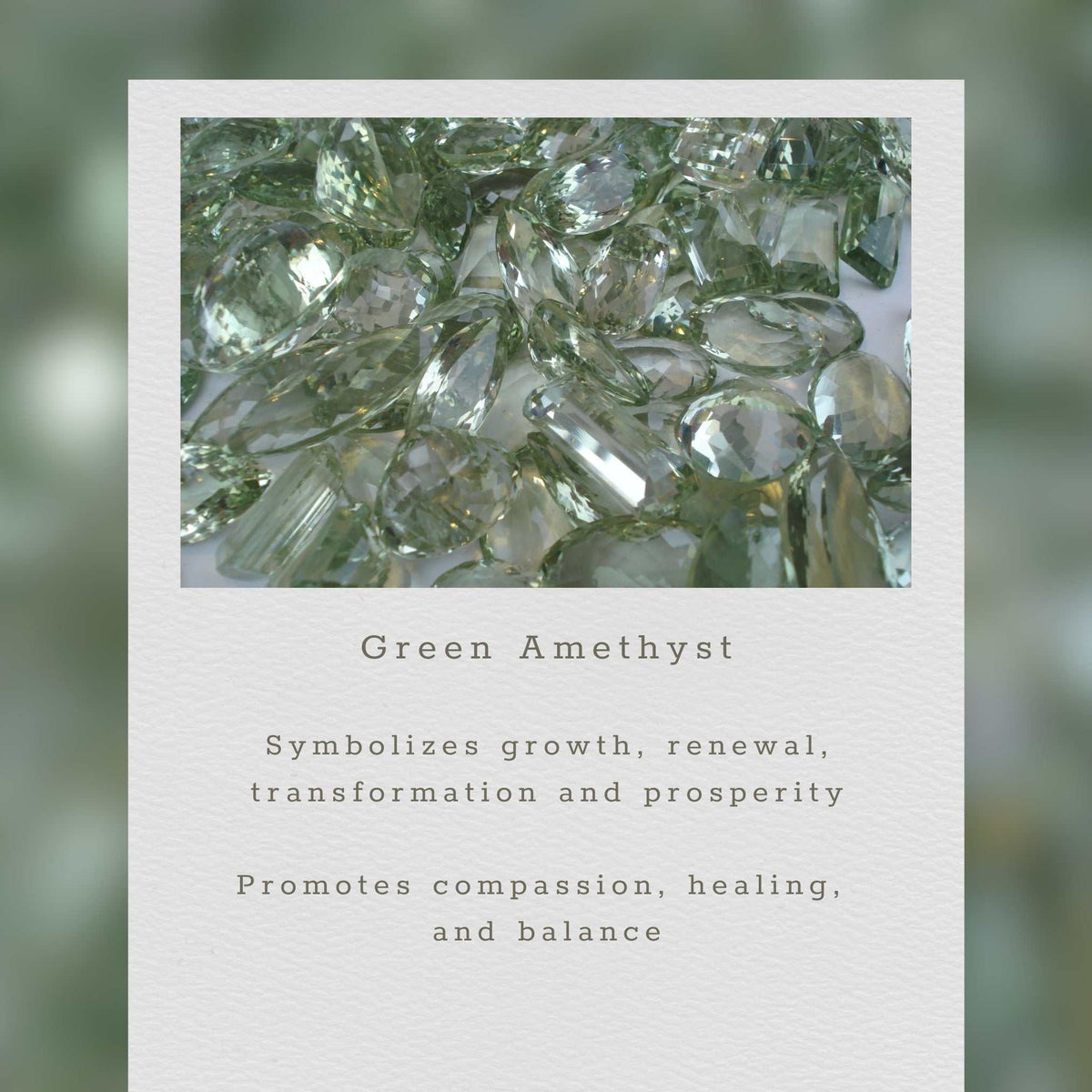 Green Amethyst earrings with rhodium plated silver and French hooks, 1.5 inches long