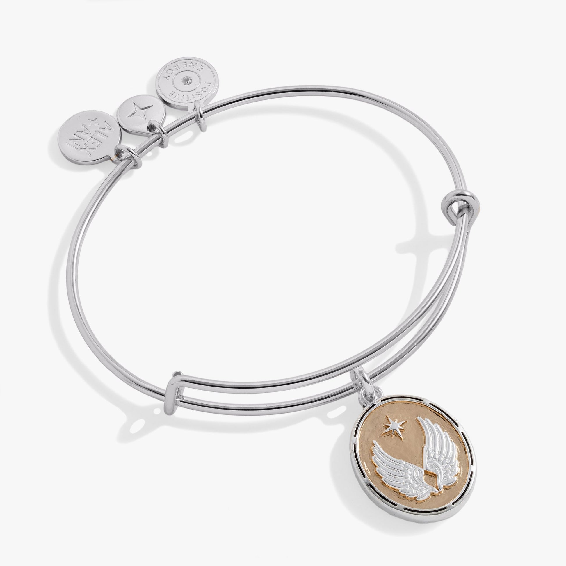Two-Tone Guardian Angel Bangle ALEX AND ANI