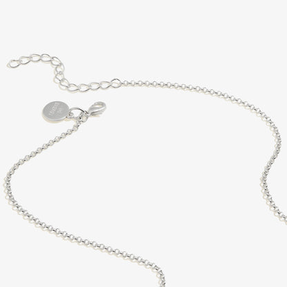 Harry Potter™ 'Ascendio' Necklace, Adjustable ALEX AND ANI