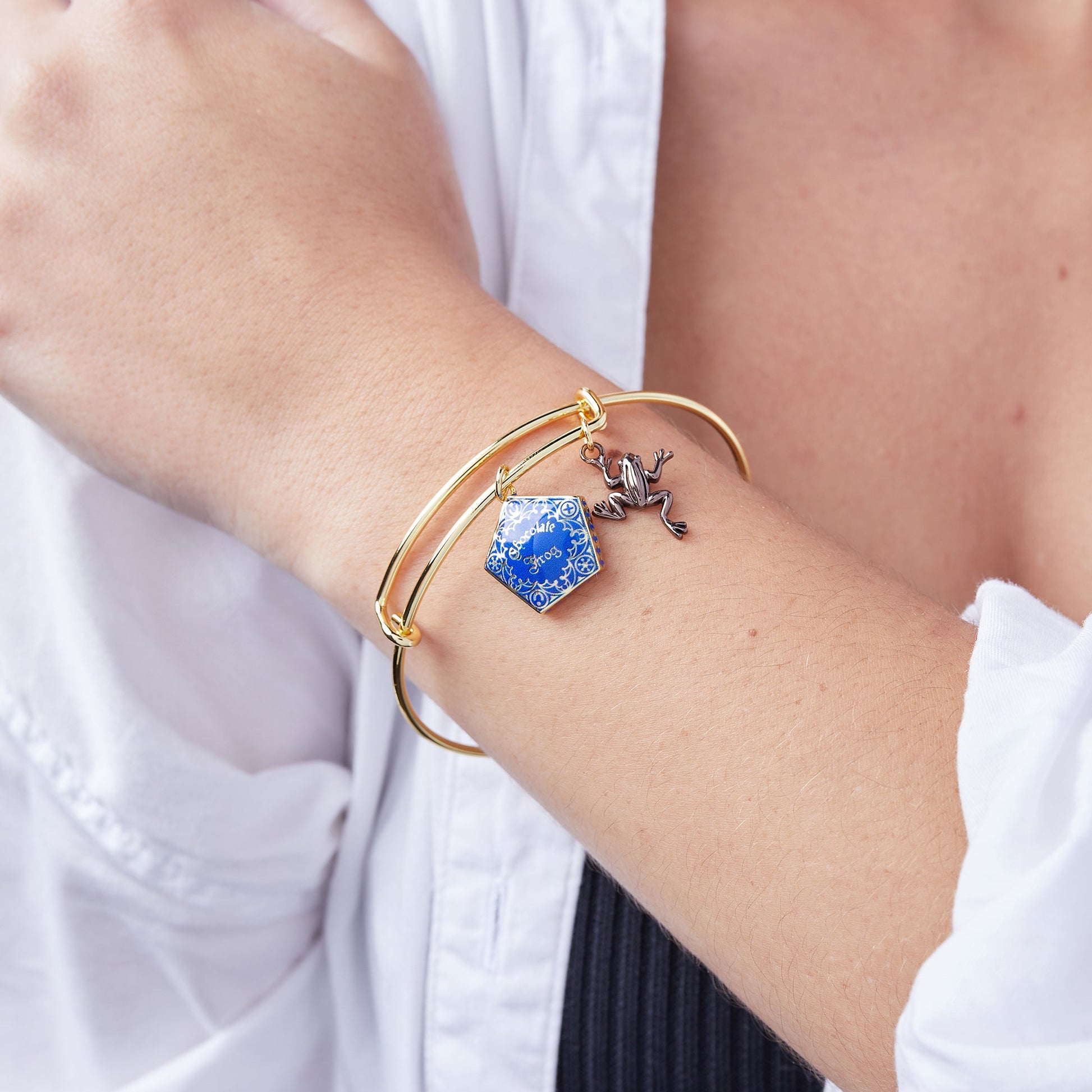Harry Potter™ Chocolate Frog Two-Charm Bangle ALEX AND ANI