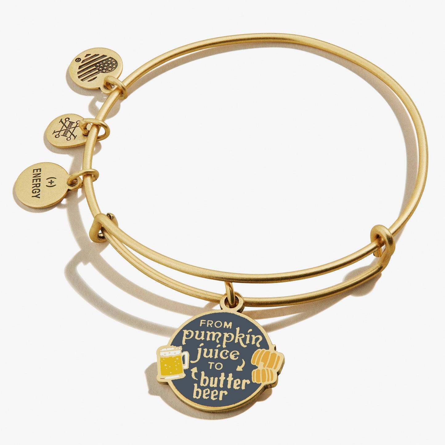 Harry Potter™ 'From Pumpkin Juice To Butter Beer' Charm Bangle ALEX AND ANI
