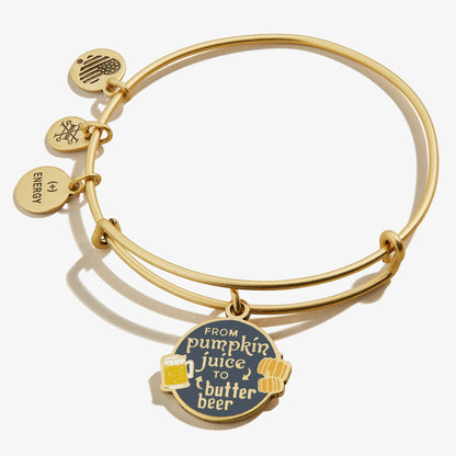 Harry Potter™ 'From Pumpkin Juice To Butter Beer' Charm Bangle ALEX AND ANI