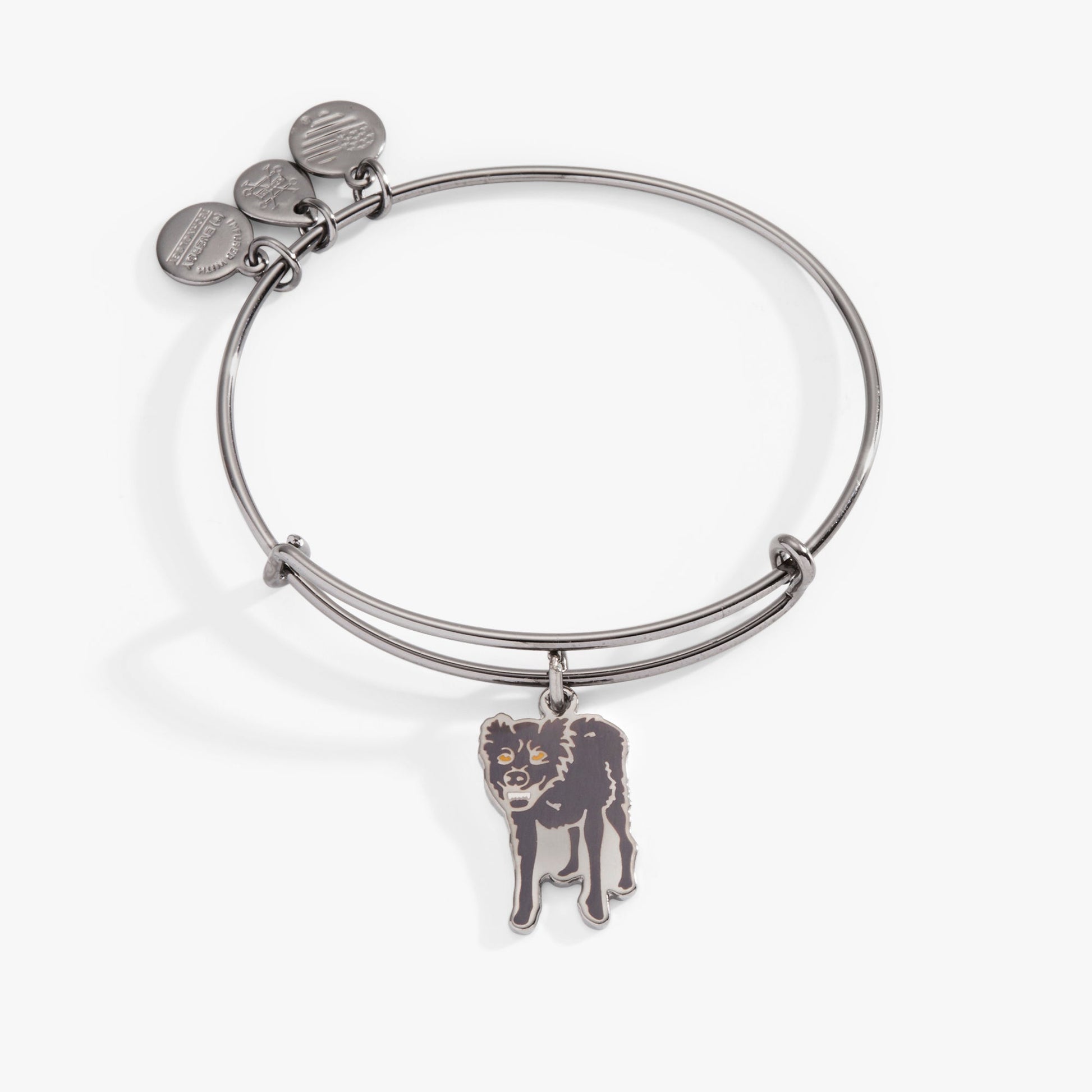 Harry Potter™ Sirius Black Charm Bangle Bracelet ALEX AND ANI