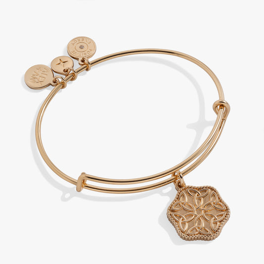 Healing Love Bangle ALEX AND ANI