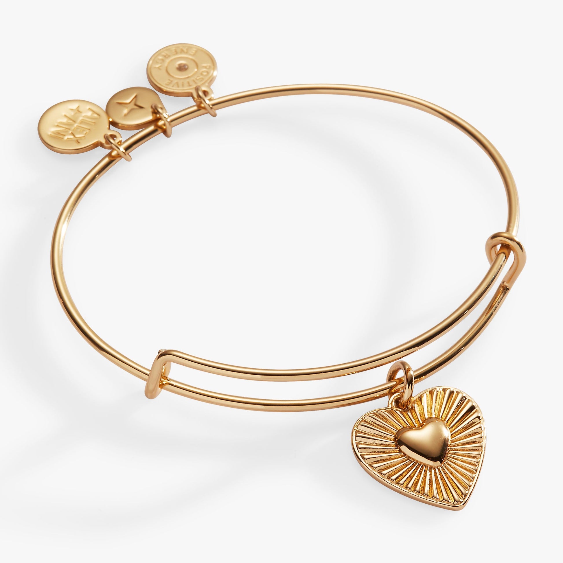 Heartburst Charm Bangle ALEX AND ANI