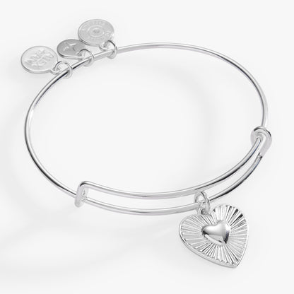 Heartburst Charm Bangle ALEX AND ANI