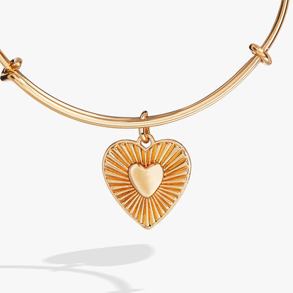 Heartburst Charm Bangle ALEX AND ANI