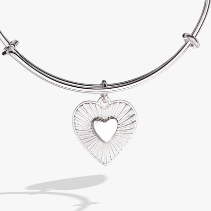 Heartburst Charm Bangle ALEX AND ANI