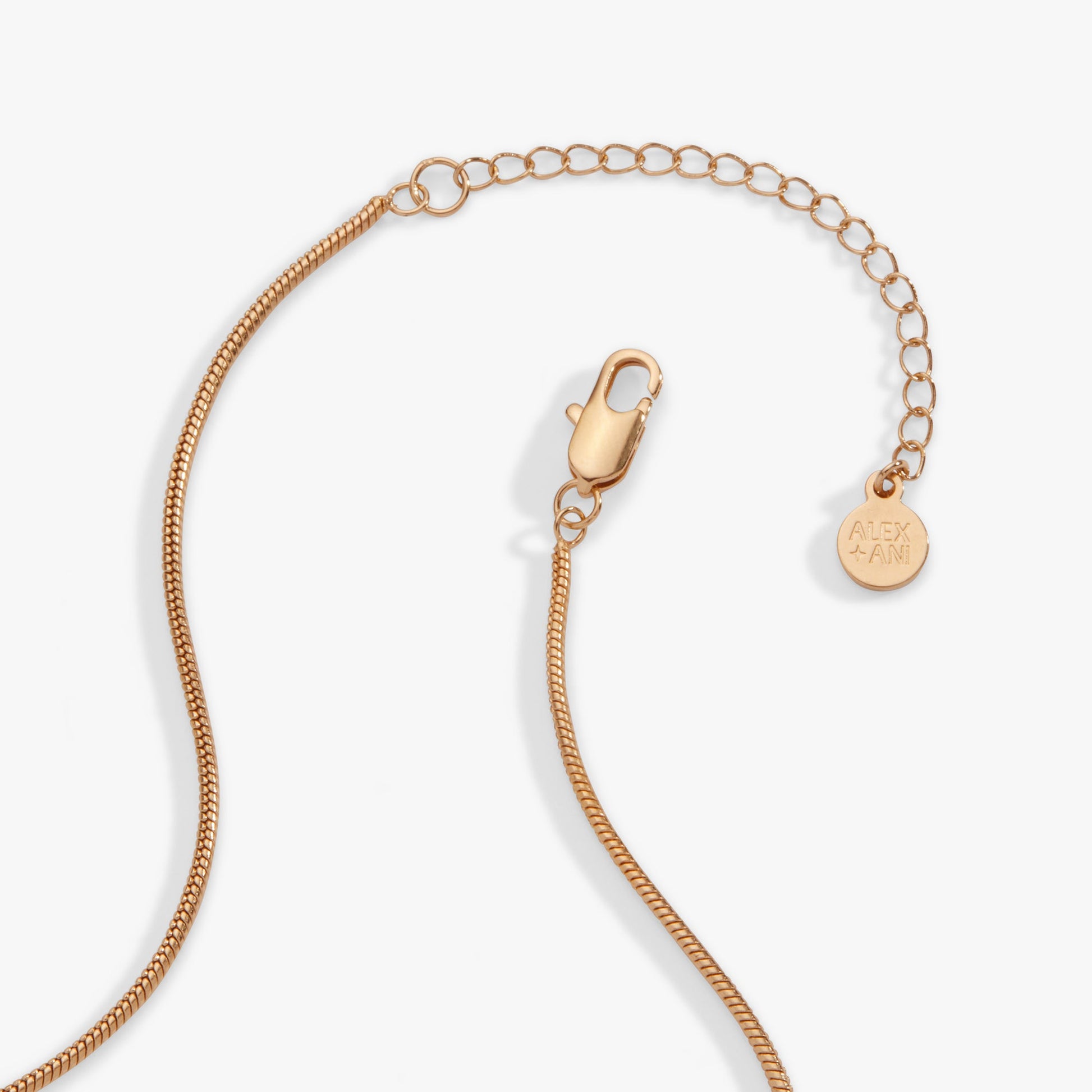 Heart Slider Necklace ALEX AND ANI