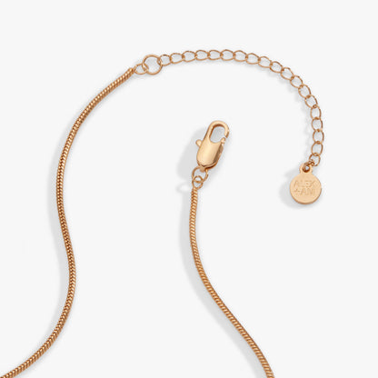 Heart Slider Necklace ALEX AND ANI