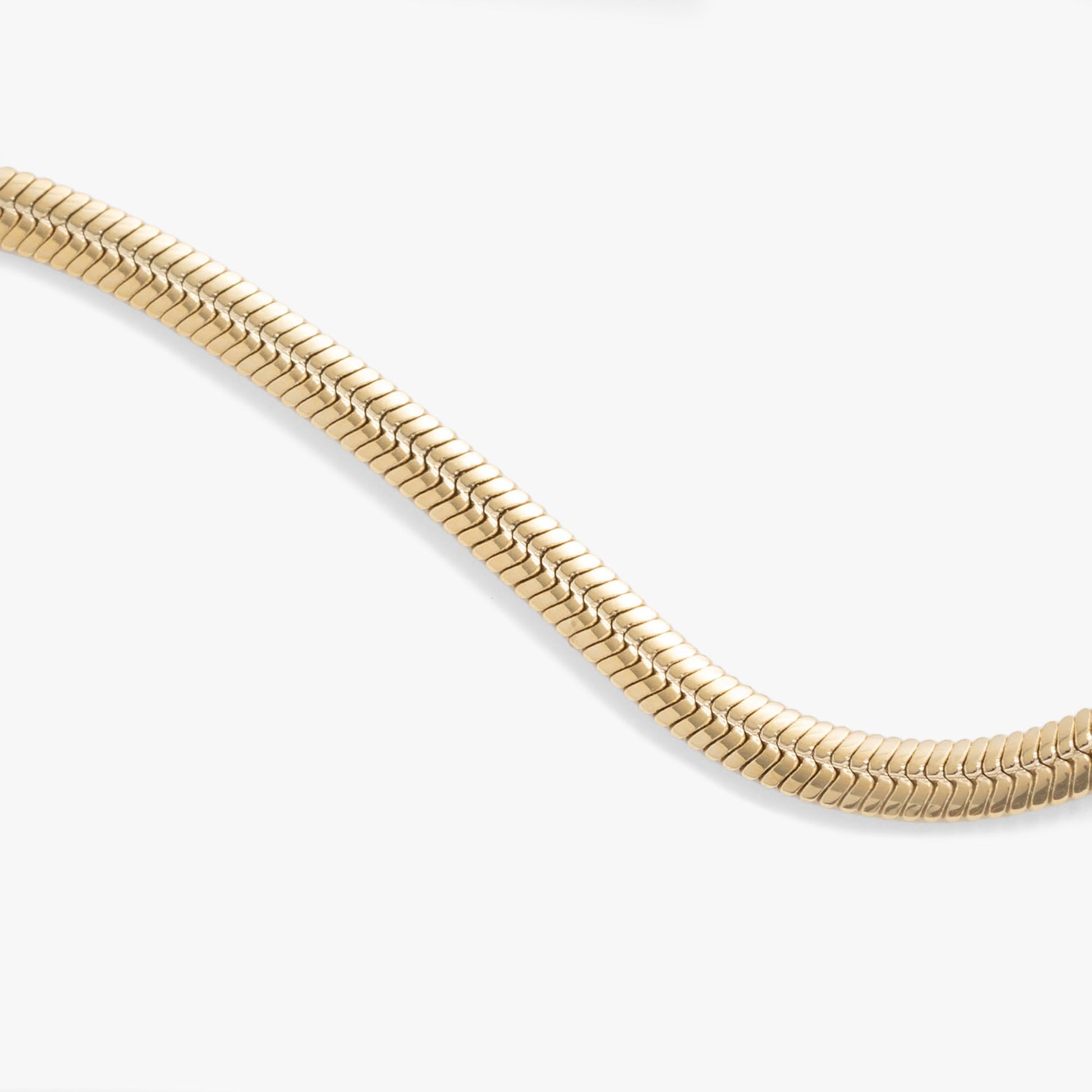 Everyday Herringbone Chain Bracelet ALEX AND ANI